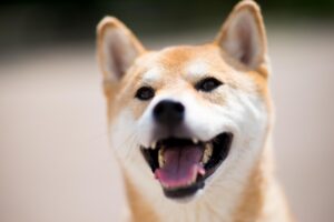 PMSの受診は何科の婦人科が適切ですか？