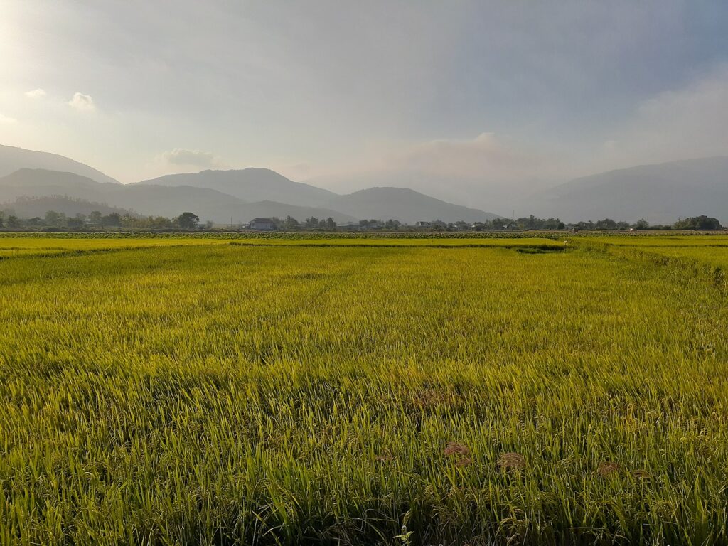 PMS治療はいつから始めるのが効果的ですか？