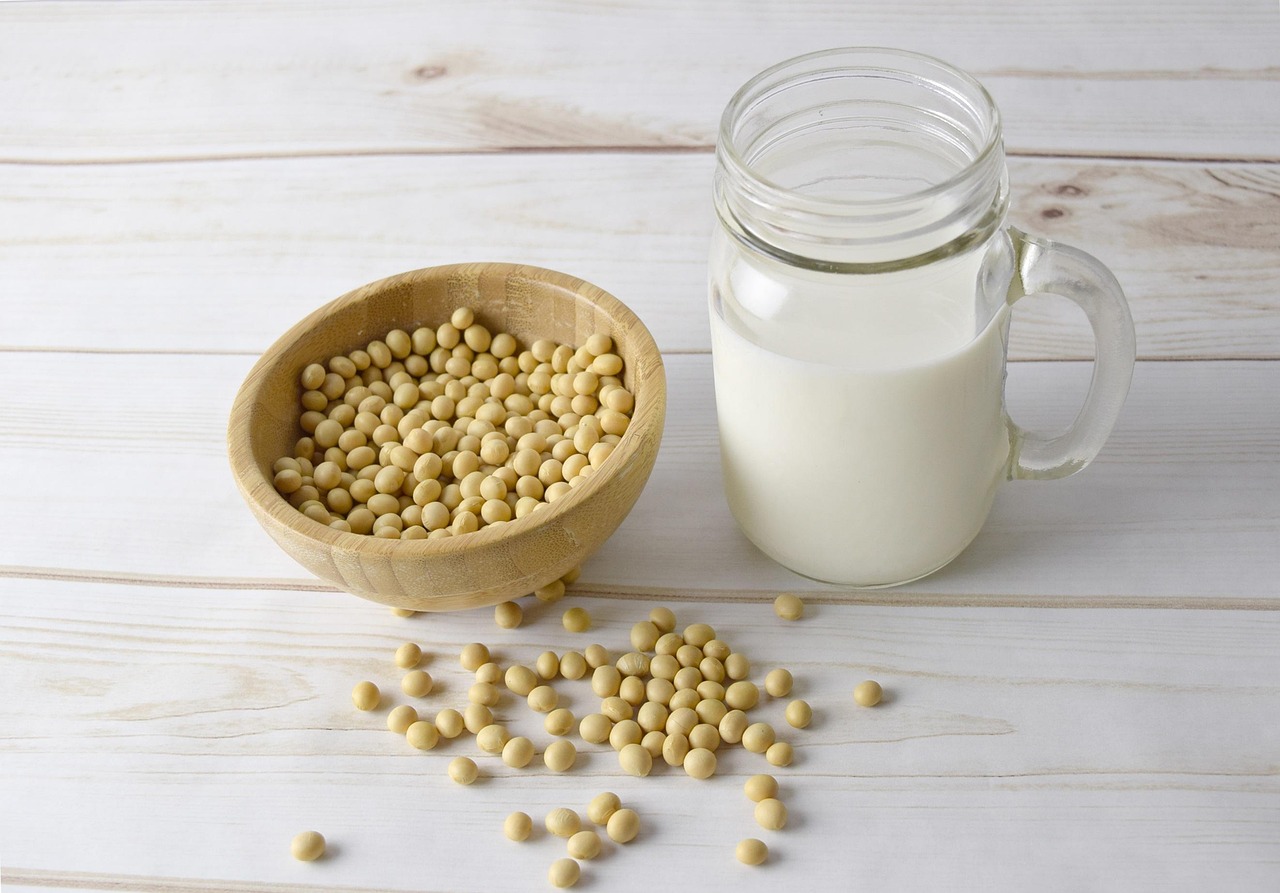 豆乳が精神安定に与える効果とは？