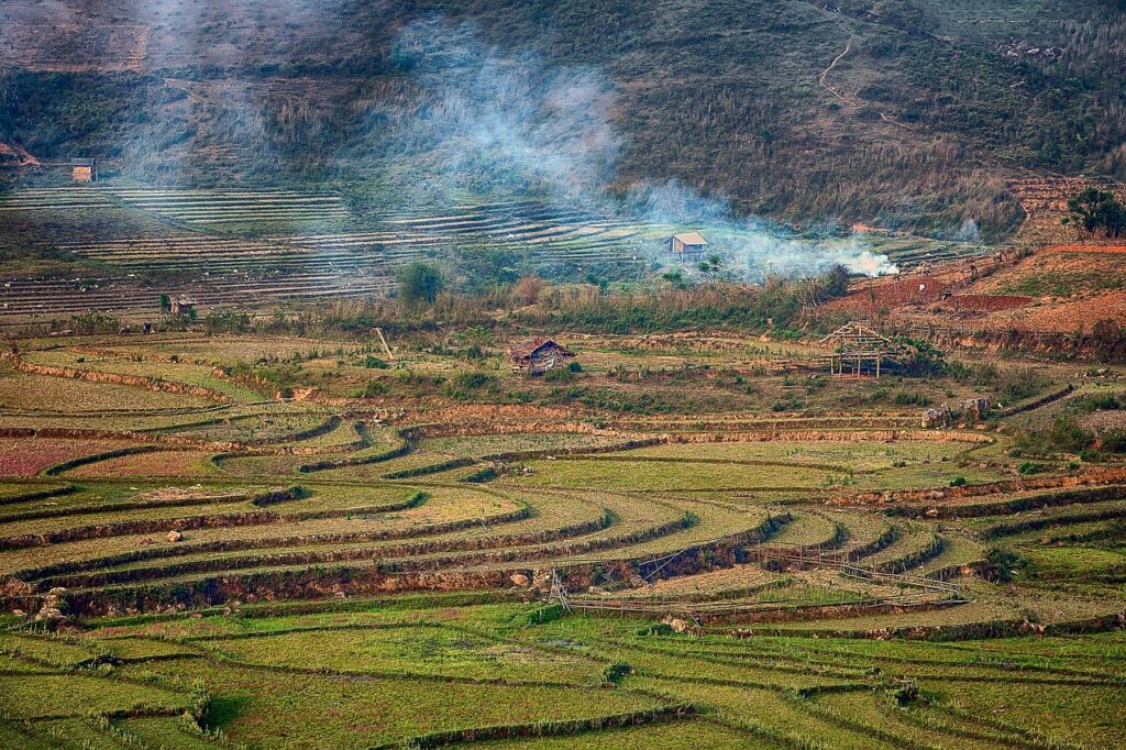 妊娠初期の症状とPMSの違いはどのように見分けるべき？