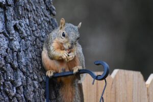 情緒不安定を改善するためのおすすめサプリメントは？