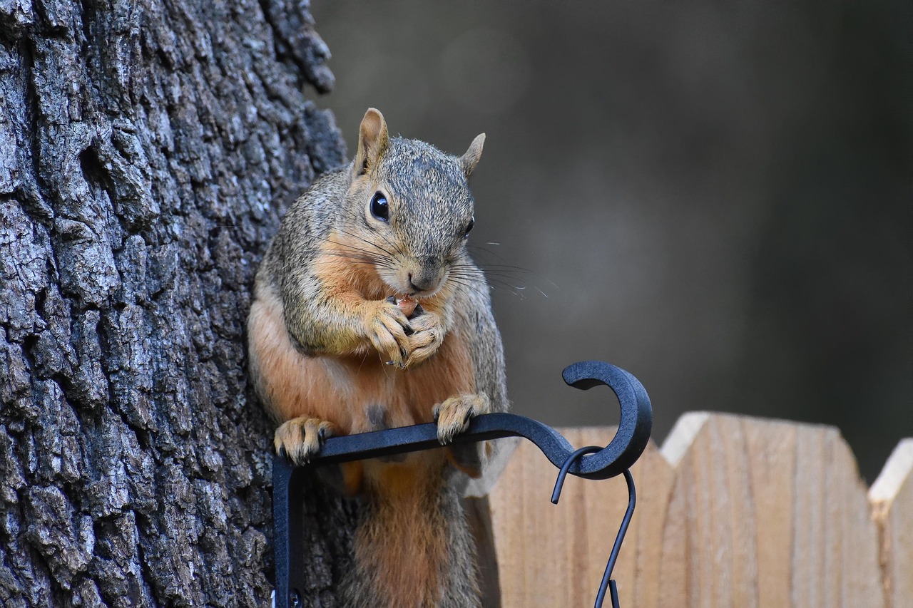 情緒不安定を改善するためのおすすめサプリメントは？