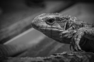 だるい時におすすめのマッサージは？