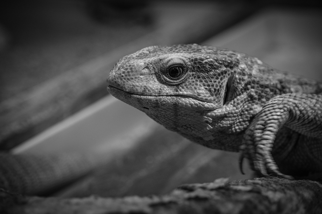 だるい時におすすめのマッサージは？