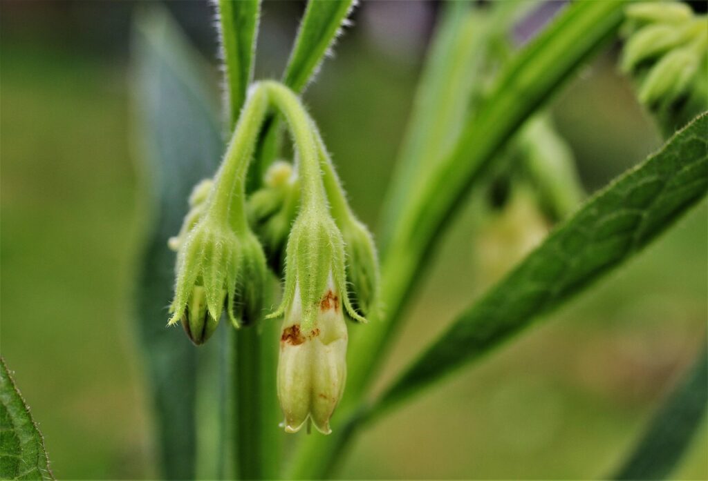 ニキビ対策に効果的な食事とは？