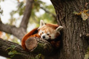 夜の眠気対策に効果的な方法は？