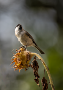 眠れない夜に試したいツボはどこにある？