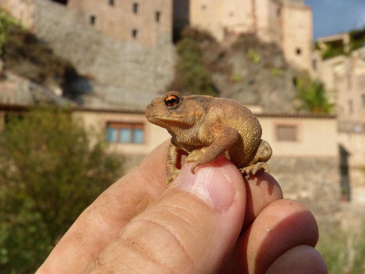 肌荒れを改善するための効果的なケア方法は？