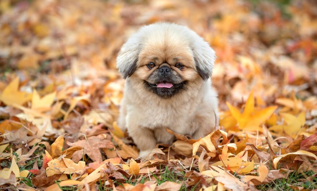 食欲増加を促すケアの方法は？