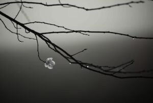 冷えに悩むあなたへ！手足の対策方法は？