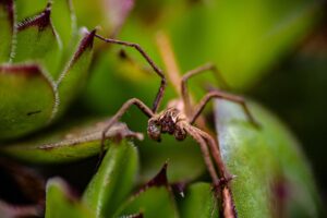 更年期の不安を解消するための具体的な方法は？
