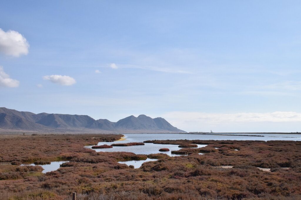 生理前のモヤモヤを解消するために朝日を浴びる効果とは？